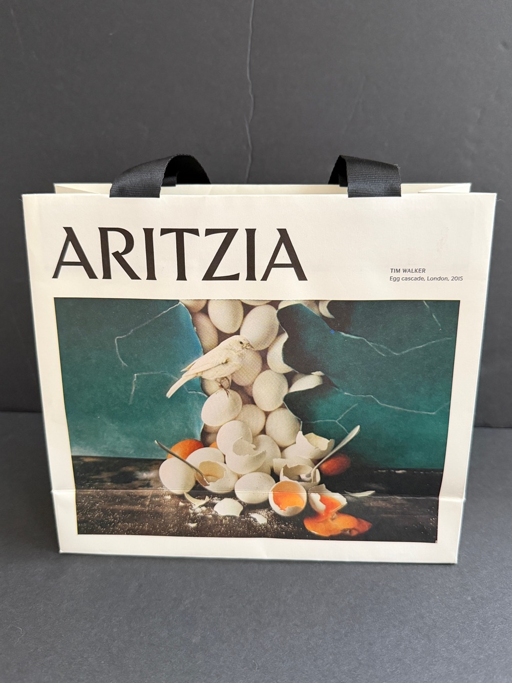 Aritzia Branded Shopping Bag with Artistic Egg Print - Cream & Teal